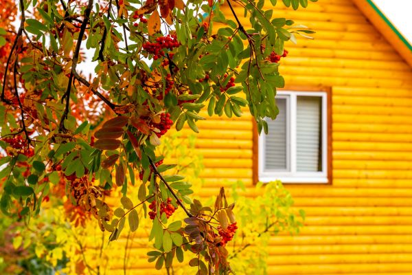 Cost of Garden Window Replacement in Portland